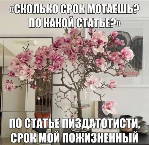 Срок мой пожизненный