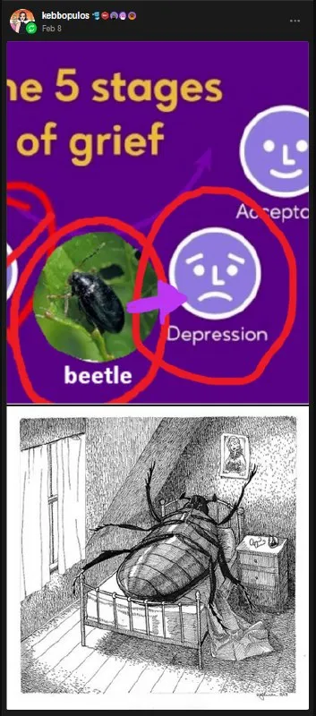 Beetle’s Five Stages of Grief