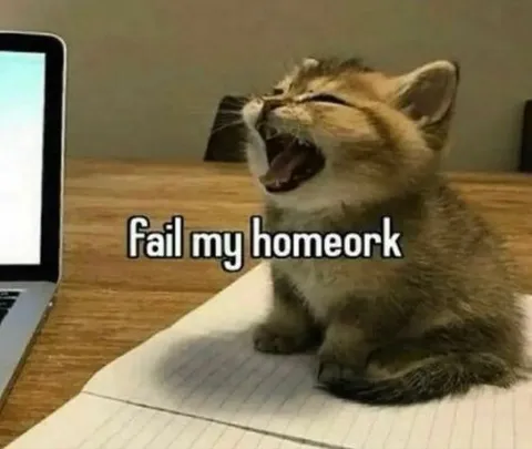 Kitten Fails Homework
