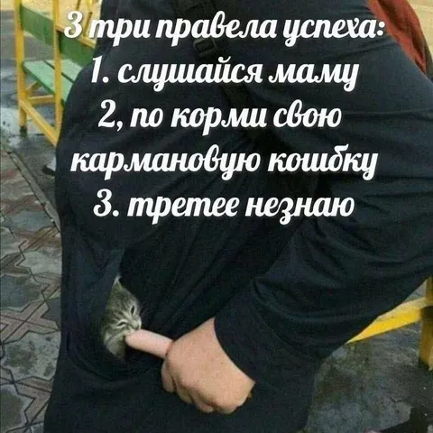 Три правила успеха