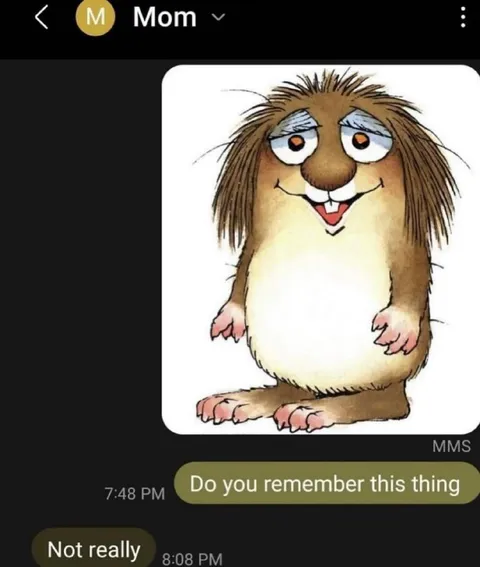 Mom Doesn't Remember the Thing