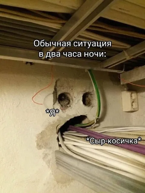 Сыр-косичка в два часа ночи