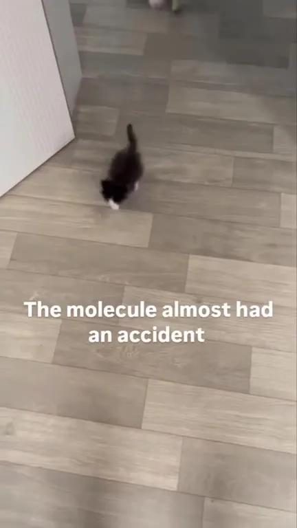 The Molecule Almost Had an Accident