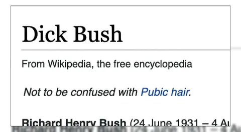 Dick Bush Wikipedia Parody
