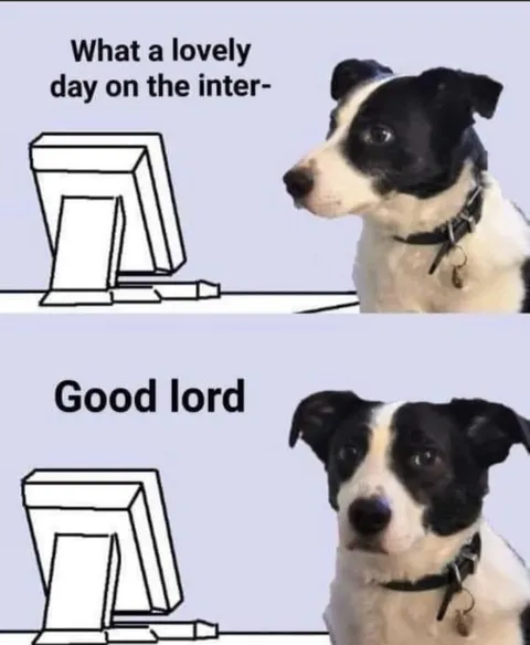 Dog Sees Something Horrible Online