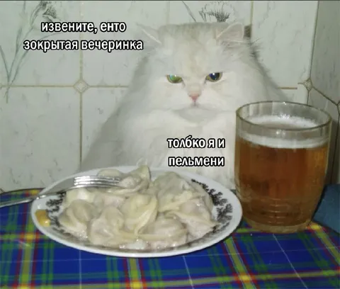Закрытая вечеринка с пельменями
