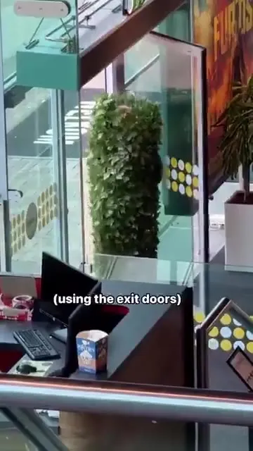 The plant sneaks into the cinema