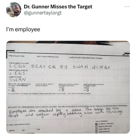 Employee Attacked by a Swan