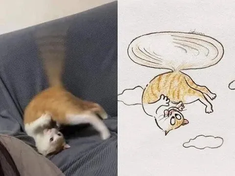 Кот и его рисунок