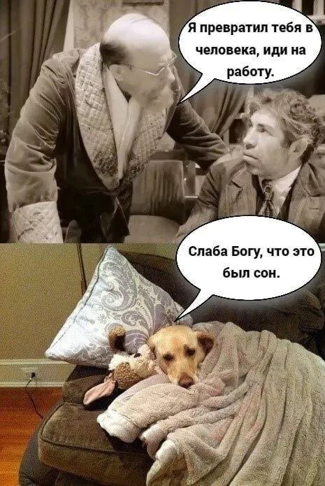 Превратил тебя в человека