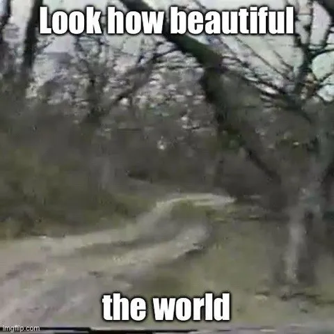 Look How Beautiful the World