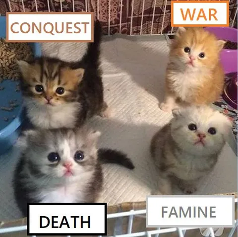 Four Cats of the Apocalypse