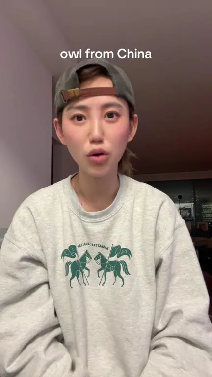 Owl From China Reaction