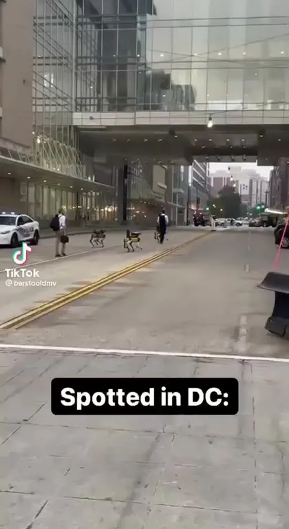Deer Spotted in DC