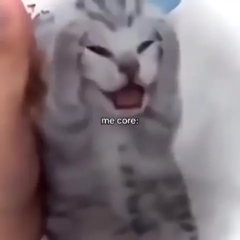 Me Core Cat Compilation