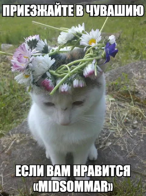 Приезжайте в Чувашию на «Midsommar»
