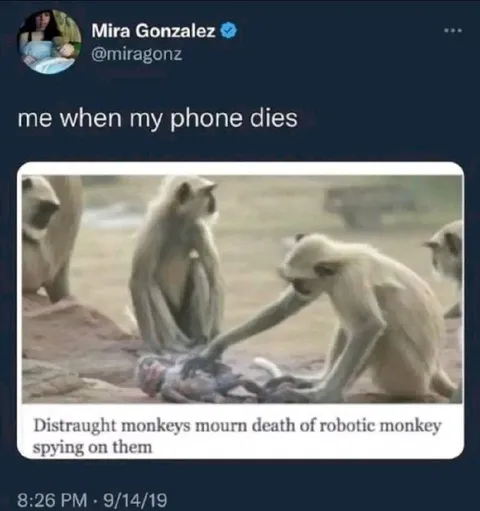 Me When My Phone Dies