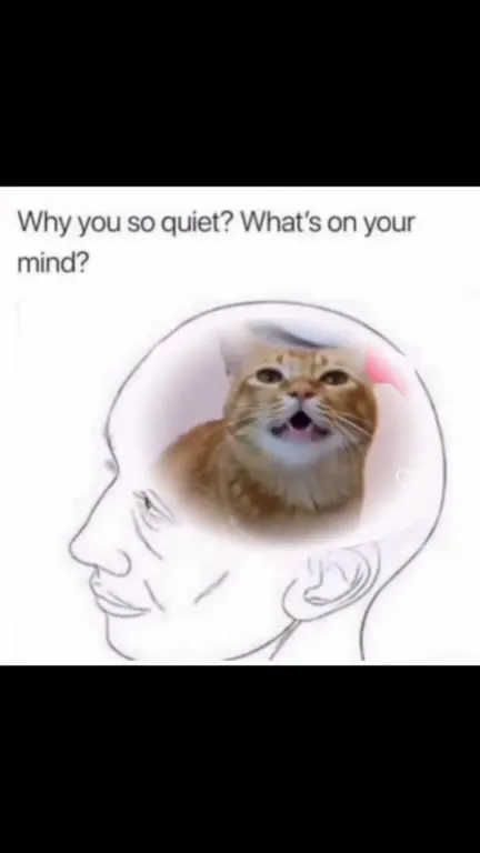 Cat Singing Inside Your Head