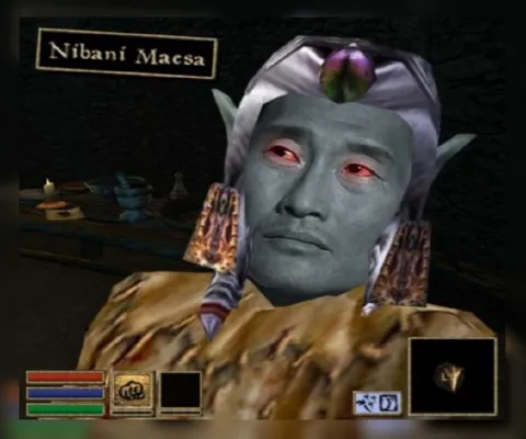 Nibani Maesa Staring