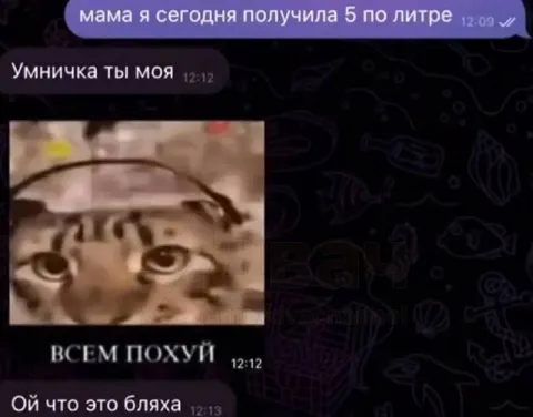 Пятёрка по литре и всем похуй