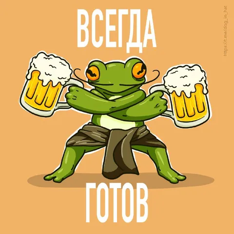 Лягушка всегда готова