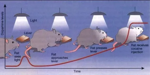 Rat Cocaine Level Design