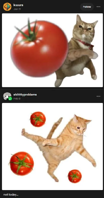 Cat Rejects Tomatoes