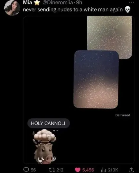 Never Sending Nudes Again
