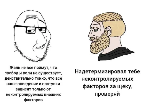 Свободы воли не существует