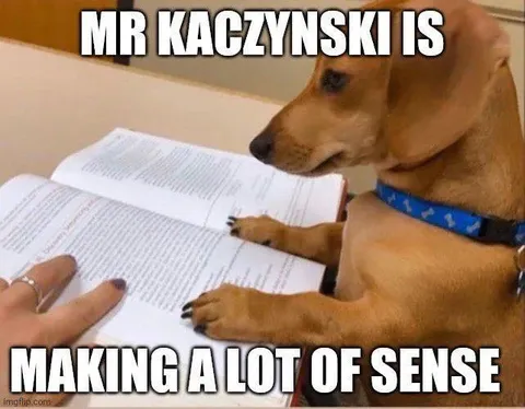 Mr Kaczynski Makes Sense