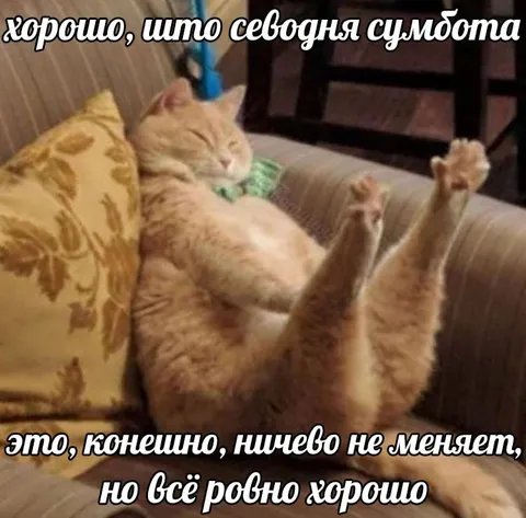 Хорошо, что сегодня суббота