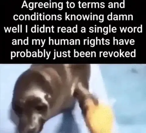Agreeing Without Reading Terms