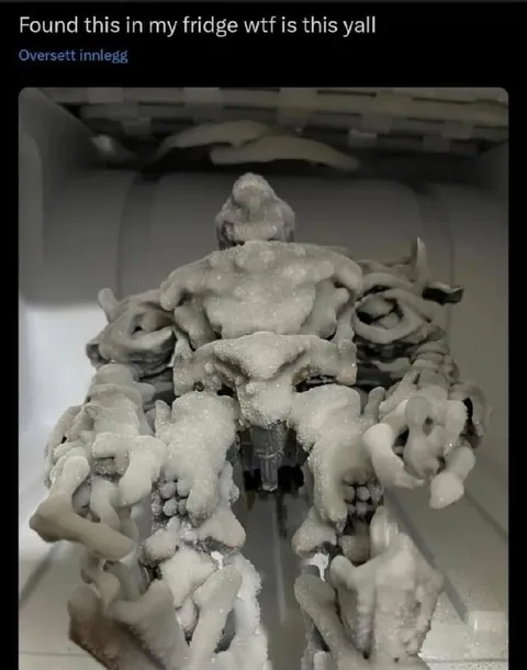 Mystery Frozen Fridge Creature