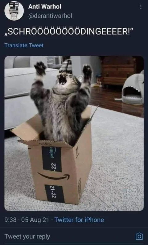 Schrödinger aus dem Karton