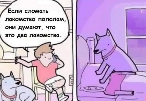 Два лакомства вместо одного