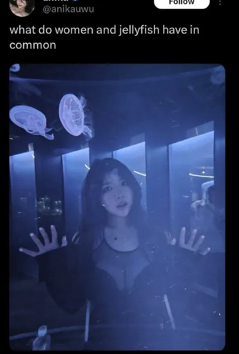 Women and Jellyfish Have in Common
