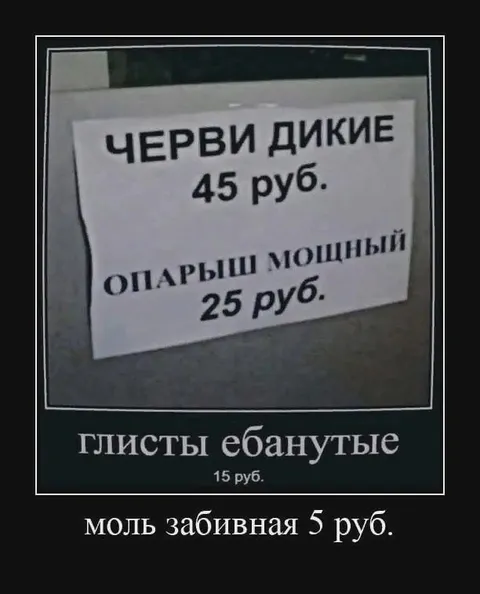 Моль забивная за пять рублей