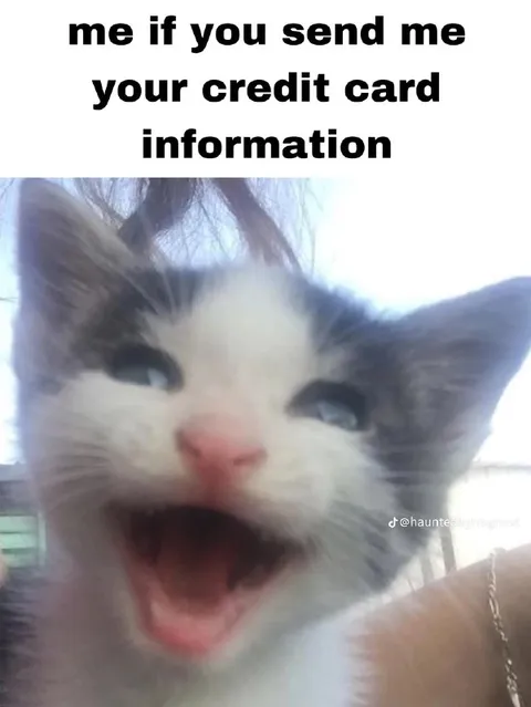 Screaming Cat Wants Your Card