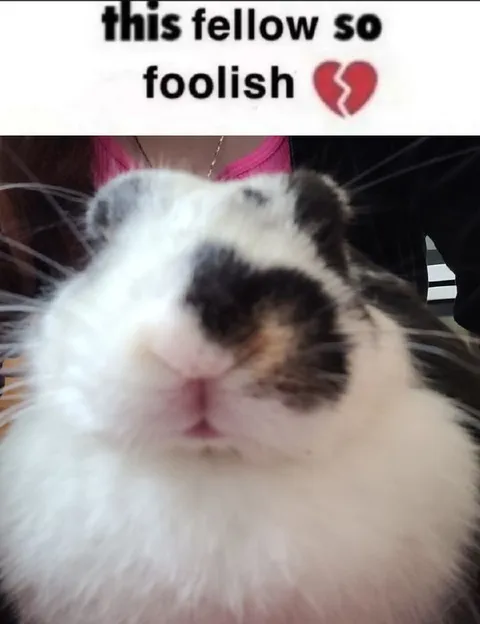 This Fellow So Foolish