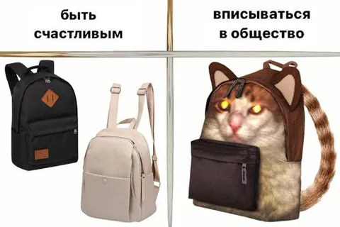 Вписываться в общество или быть счастливым
