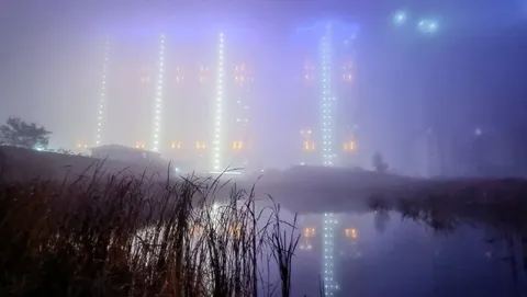 Безумный туман над прудом