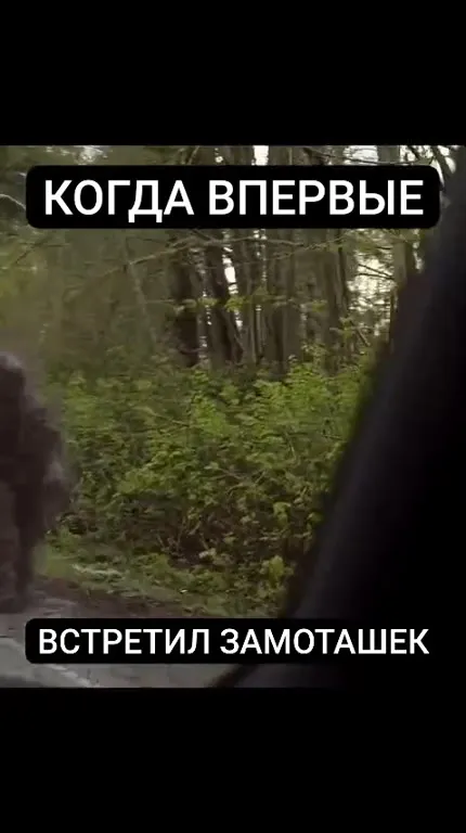 Впервые встретил замоташека