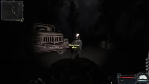 What in the dark forest