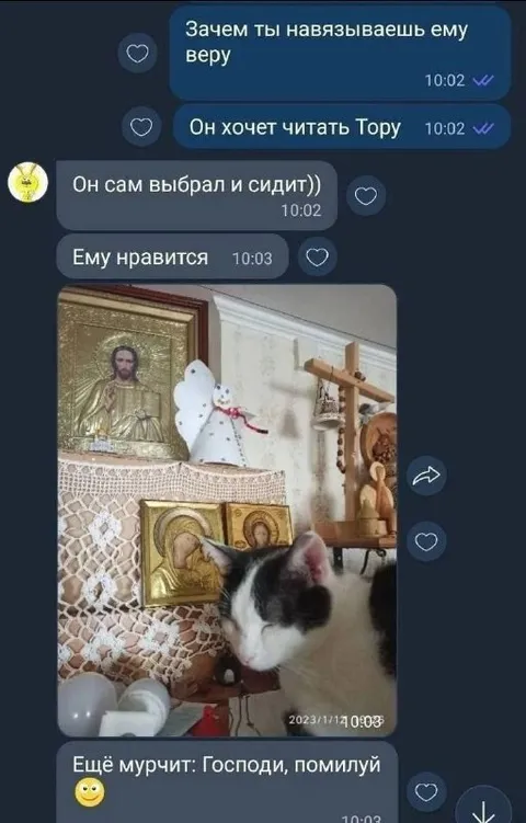 Кот читает Тору у икон