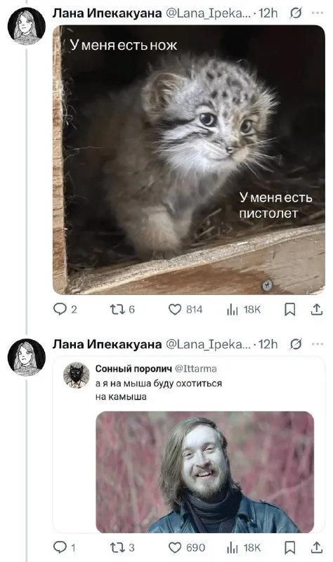 Кот с ножом и пистолетом