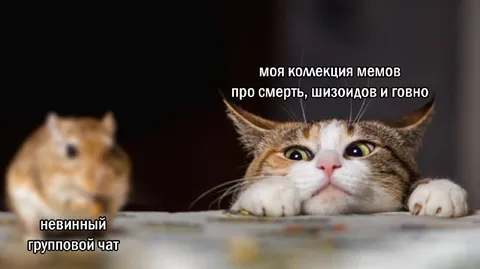 Моя коллекция мрачных мемов