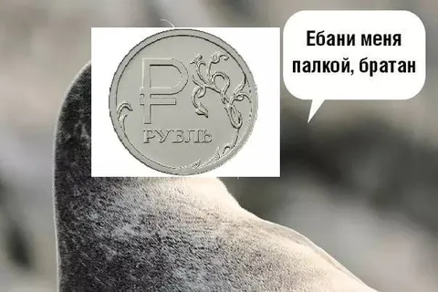 Ебани меня палкой, братан