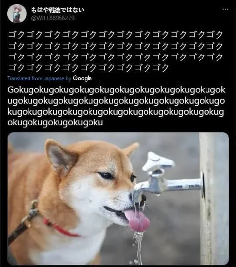 犬が水を飲み続ける