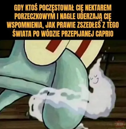 Wspomnienia po nektarze porzeczkowym