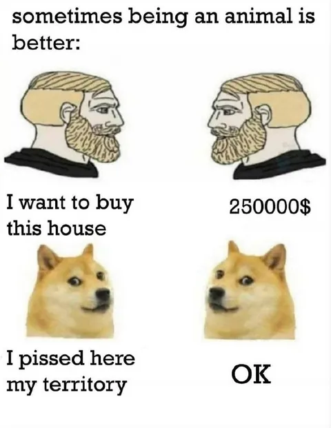 Sometimes Being an Animal Is Better